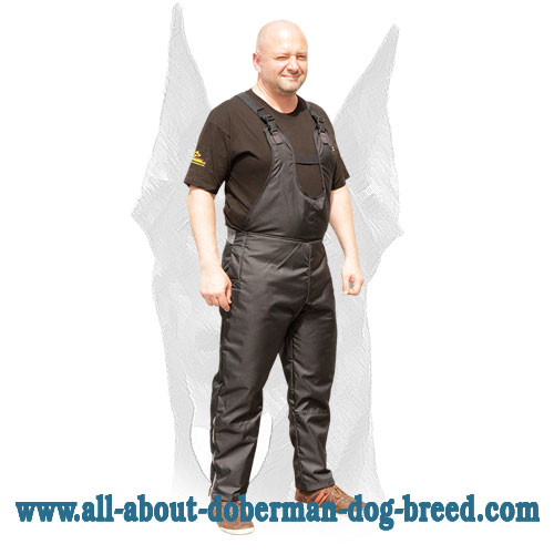 Agitation scratch pants for Doberman trainer