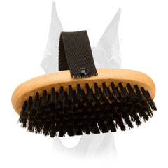 Doberman bristle brush for your Doberman shiny fur