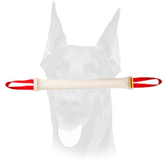 Doberman bite tug of Fire Hose