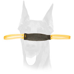 Doberman bite tug for advanced training